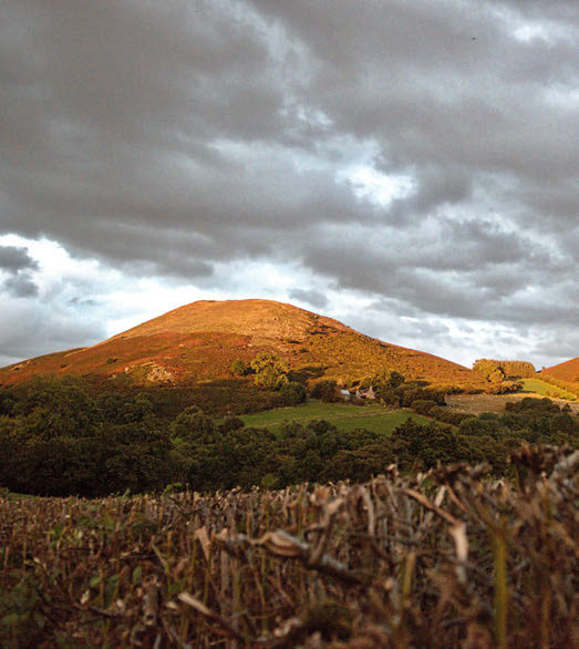 A rider grinds up a steep grassy climb in the Black Mountains near Mynydd Troed