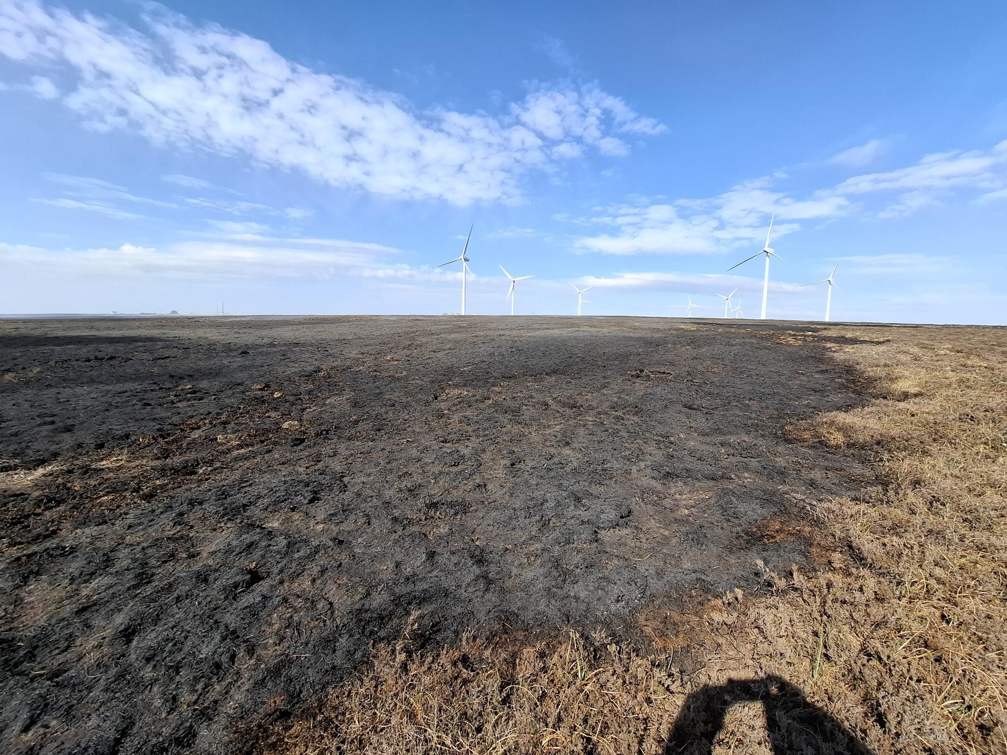 What to do if you encounter a moorland fire