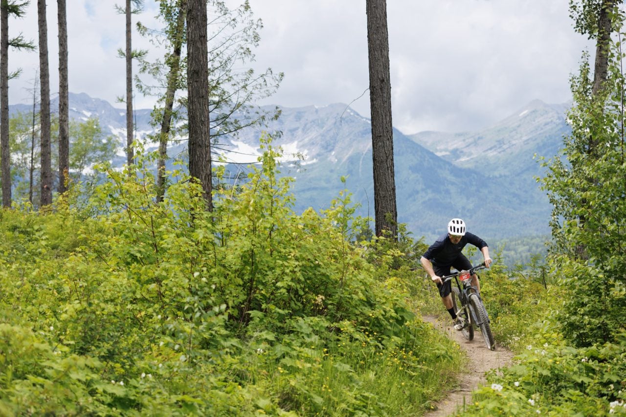 Rider in a white helmet on singletrack through green undergrowth, snow-flecked peaks beyond