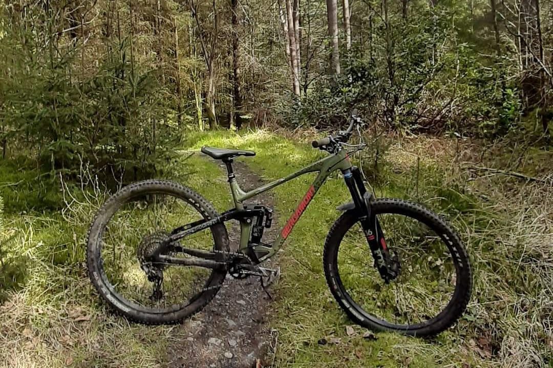 Reader’s Ride: Duncan’s Bergamont Trailster 10