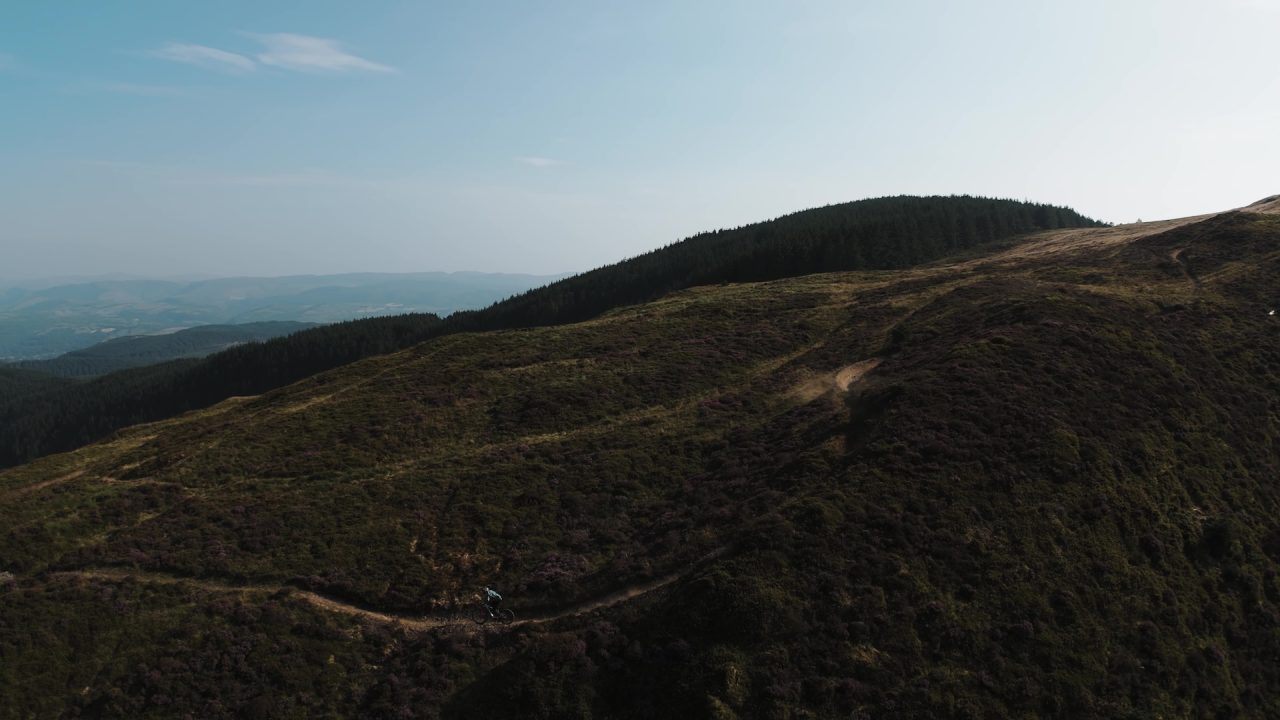 Aerial view of a winding mountain bike trail on a hillside covered in heather and surrounded by a forest, under a clear blue sky.