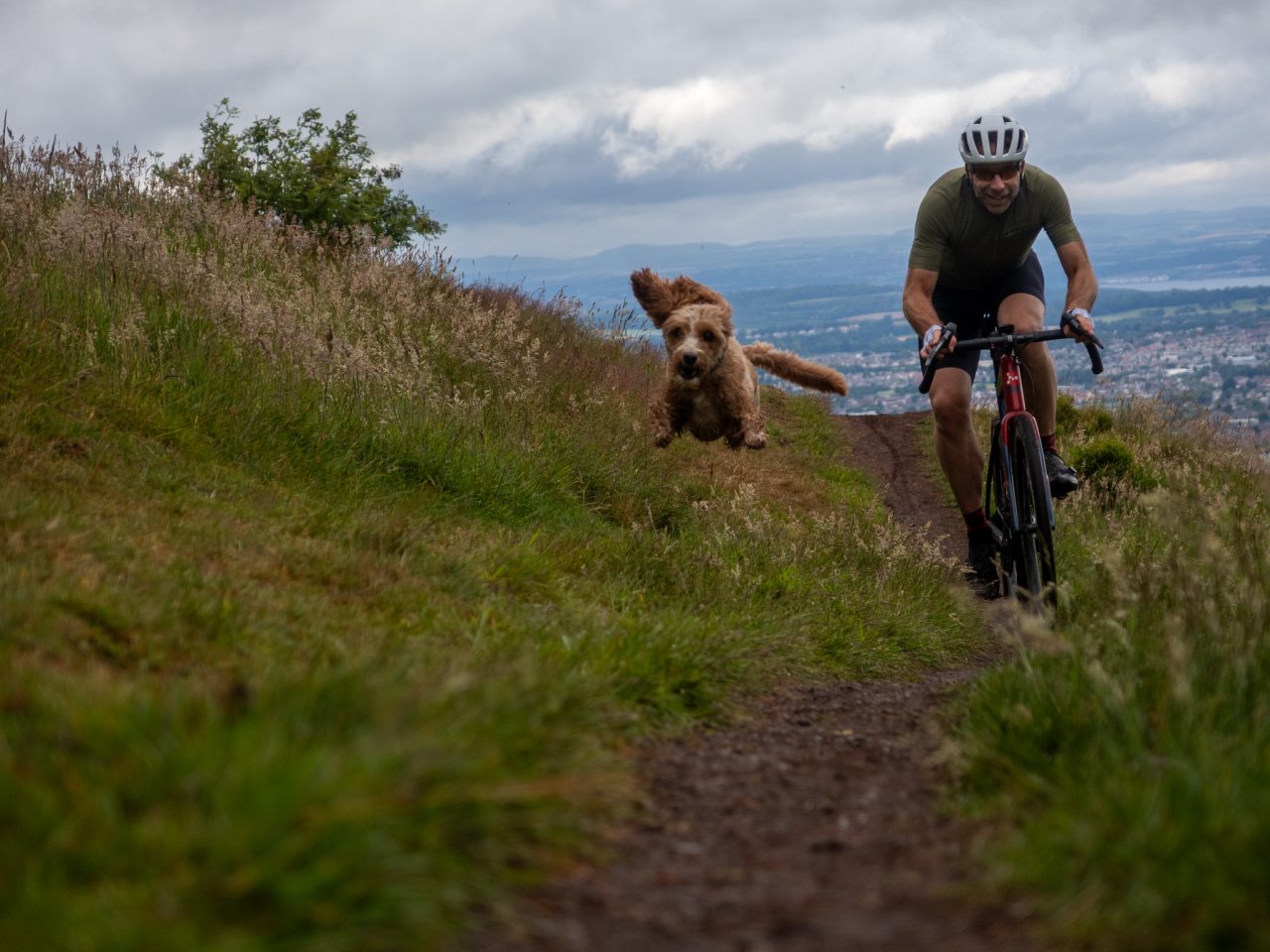 A cyclist riding a mountain bike along a grassy trail with a brown dog running joyfully beside him, set against a cloudy sky and distant landscape.