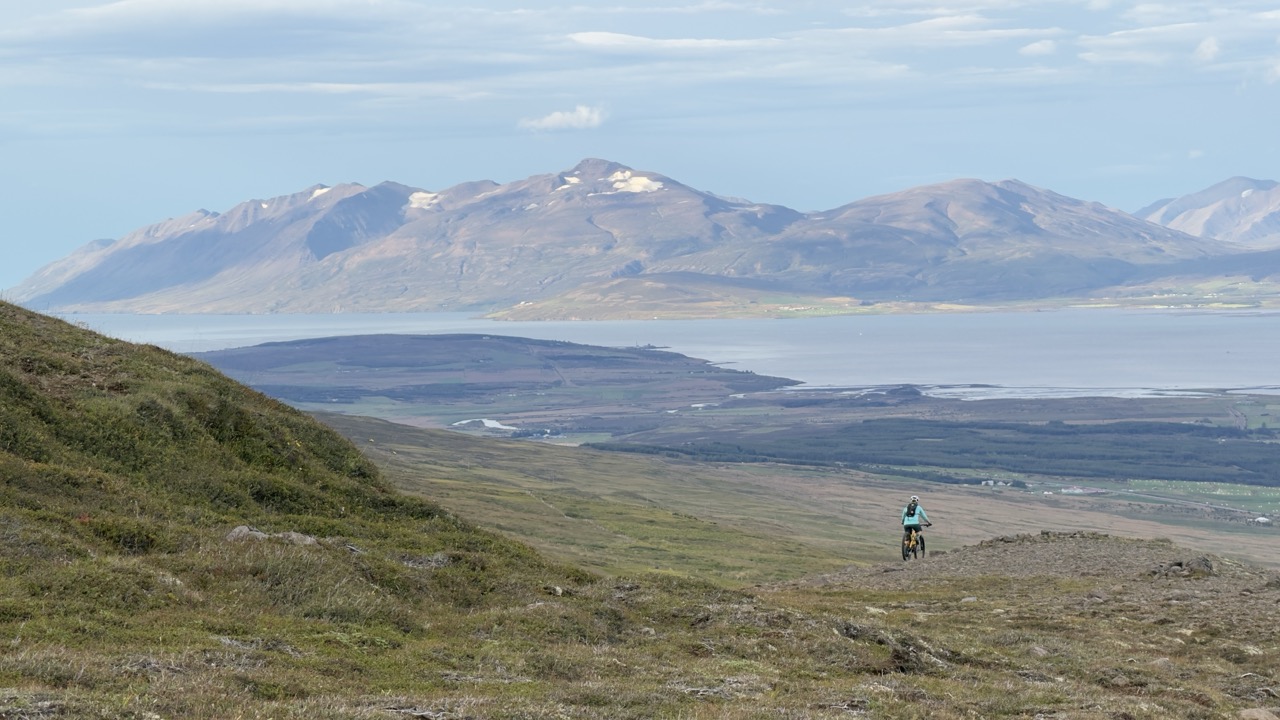 A person mountain biking down a hill, surrounded by a vast landscape of mountains and a bay in the distance. The scene captures lush greenery and rolling hills under a clear blue sky.