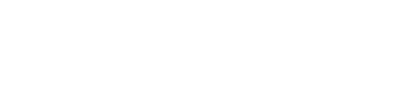 Logo of Singlettrack World in white text on a black background