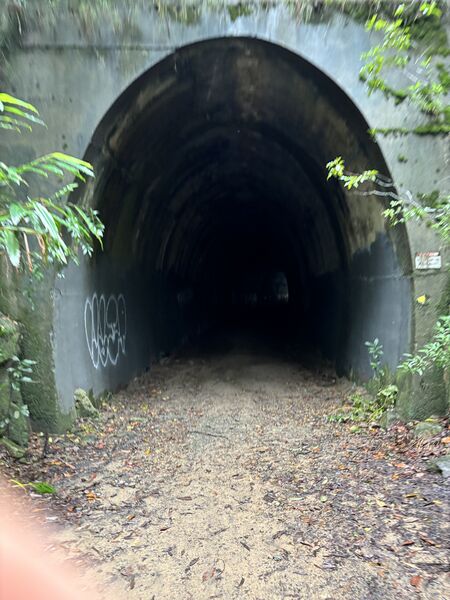 IMG_2691.jpeg
