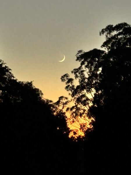 IMG_3218.jpeg