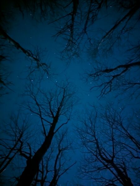 PXL_20260425_215512967.NIGHT.jpg
