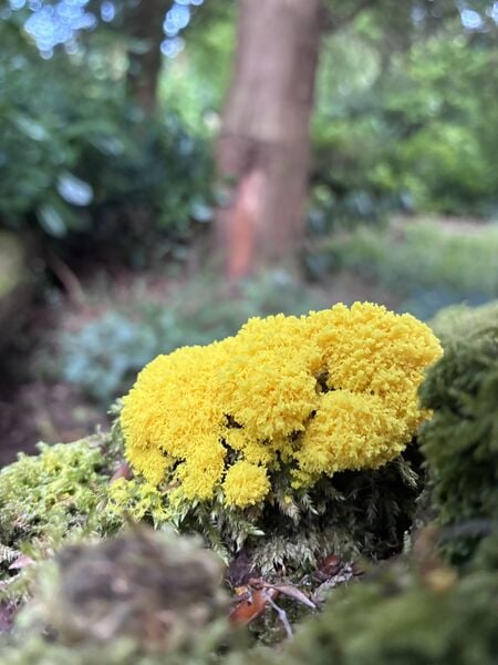 IMG_0848.jpeg