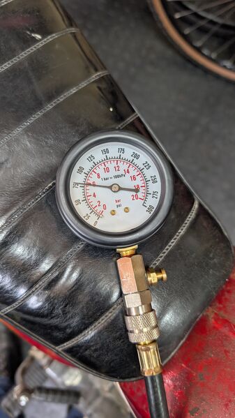 PXL_20260503_100013179.MP.jpg
