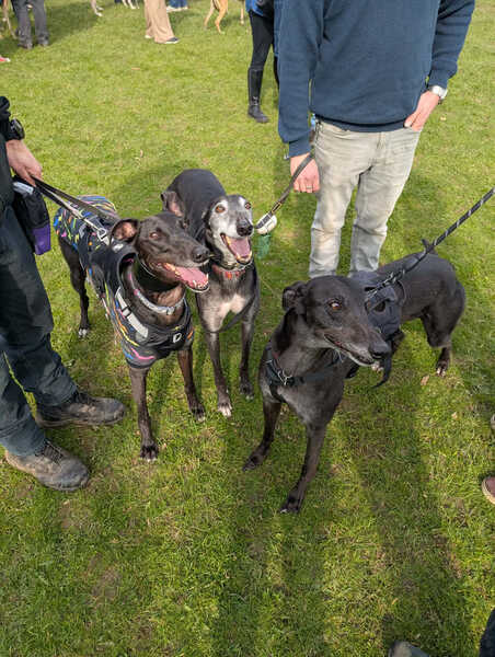 JPEG image-45BB-A593-45-0.jpeg