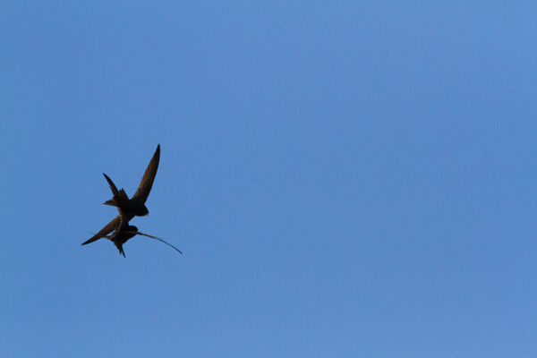 IMG_5472.jpg