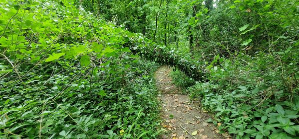 20260607_120012.jpg
