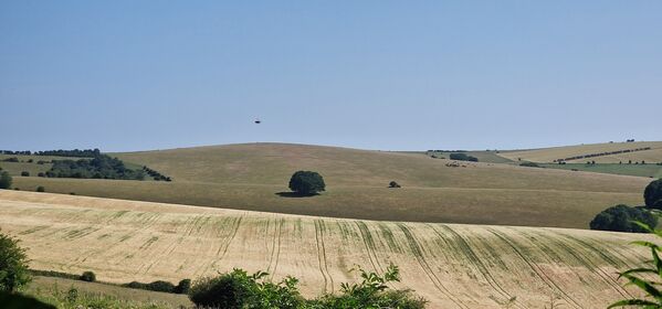 20260709_095443.jpg
