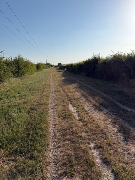 IMG_0239 (1).jpeg