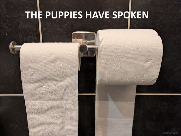 puppies.jpg
