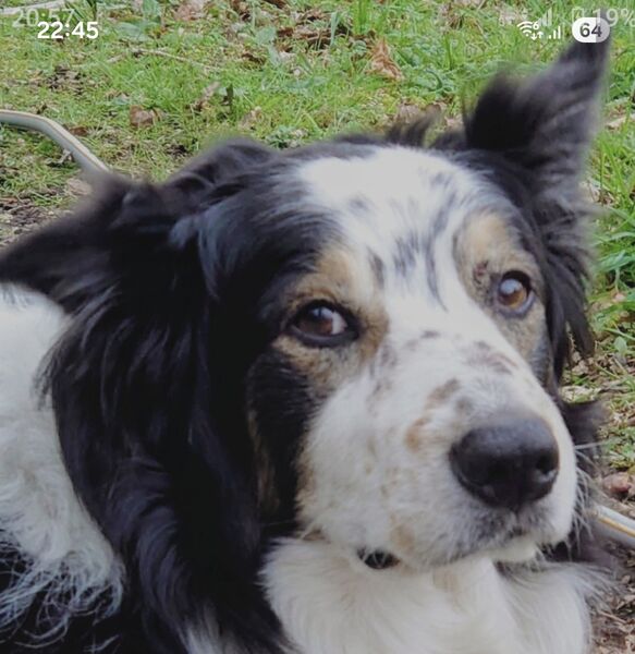 Screenshot_20260519_224529_One UI Home.jpg