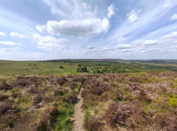 IMG 20250523 151702 IMG 20250523 151702