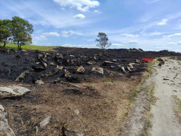 IMG 20250523 135057 IMG 20250523 135057