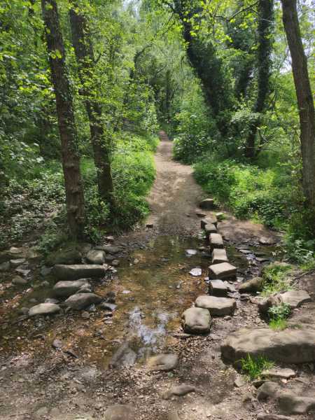 IMG 20250523 145127 IMG 20250523 145127