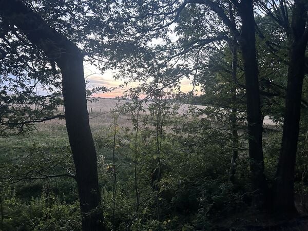 IMG_7869.jpeg