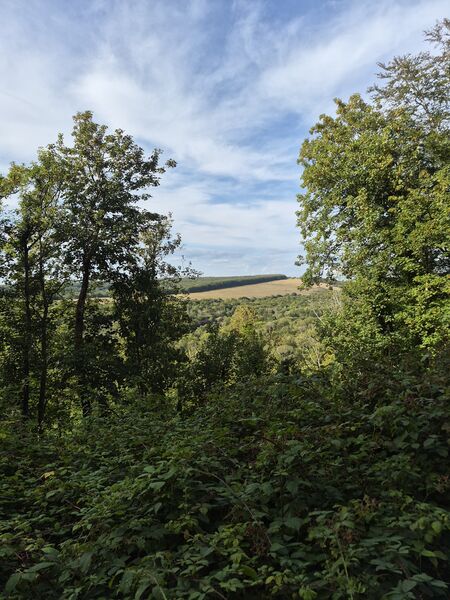 20260801_171345.jpg
