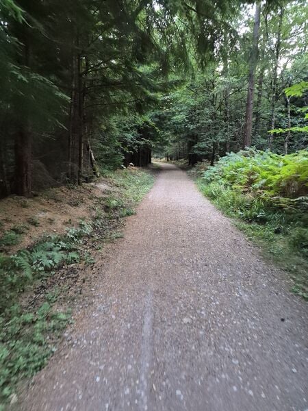 20260826_192452.jpg