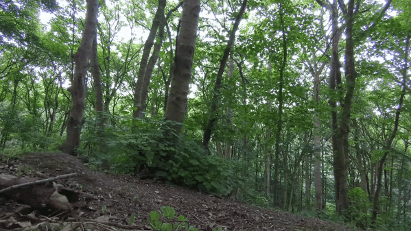 WeeJump.gif