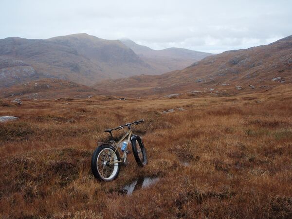 Over the top and through the bogs - 1 of 1.jpeg