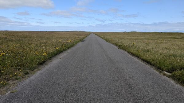 PXL_20260821_141806785.jpg