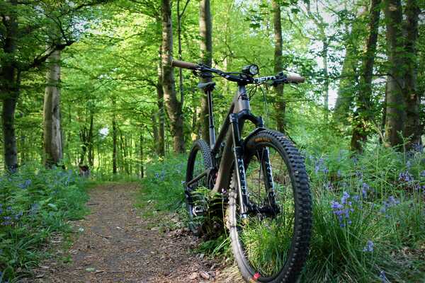 2025-05-13 Santa Cruz Tallboy 5 00004.jpeg