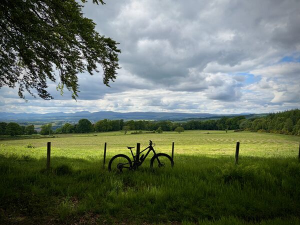 2026-06-14 Sunday Dumyat & Woods SC Tallboy 00005.jpeg