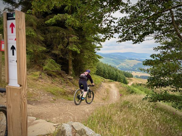 2026-07-18 Glentress Family MTBing 00002 copy.jpeg