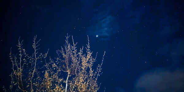 2026 01 01 Oddments 2026 RAW_50.jpg