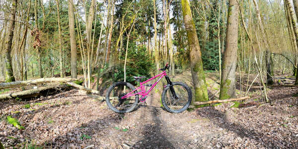 2026 03 15 010 Wakerley Trails Unusually Variable Insta360 Leica 4K_05b 3600.jpg