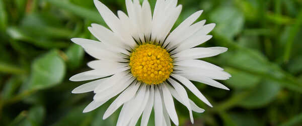 2026 01 01 Oddments 2026 RAW_55.jpg