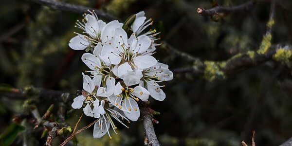 2026 01 01 Oddments 2026 RAW_60.jpg