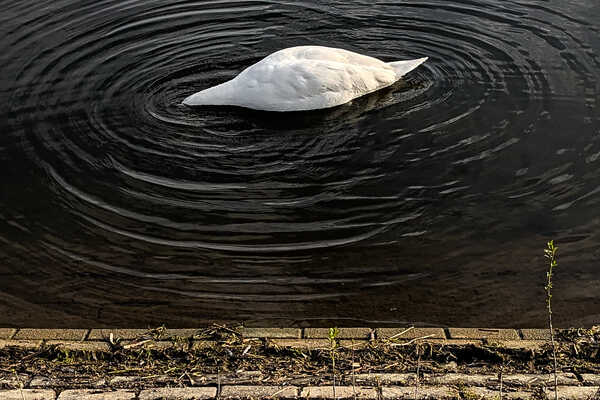 2026 01 01 Oddments 2026 RAW_59.jpg