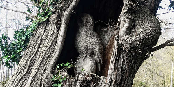 2026 01 01 Oddments 2026 RAW_62.jpg