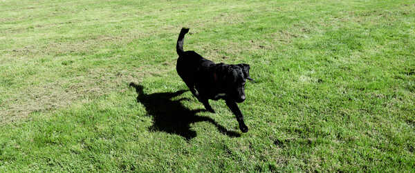 2026 01 01 Oddments 2026 RAW_67.jpg