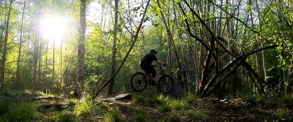 2026 04 24 019 Wakerley Rampaging Squirrels Tonight Insta360 Leica 4K_02.jpg