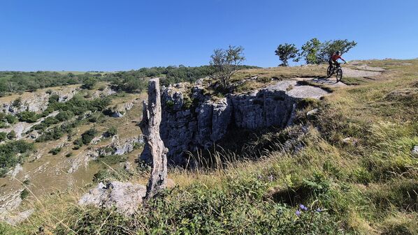 20260711_095338.jpg
