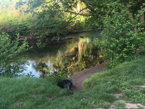 IMG_9026.jpeg