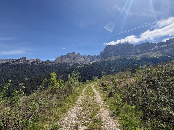 IMG_1325.jpeg
