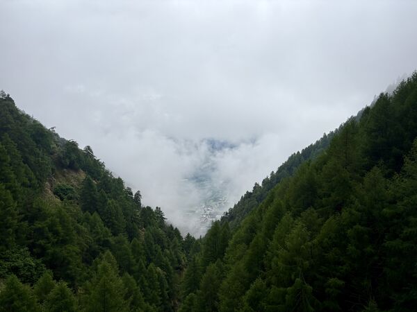 IMG_1462.jpeg