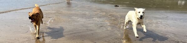 IMG_1647.jpeg