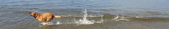 IMG_1707.jpeg