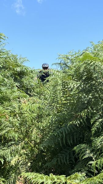 IMG_5154.jpeg