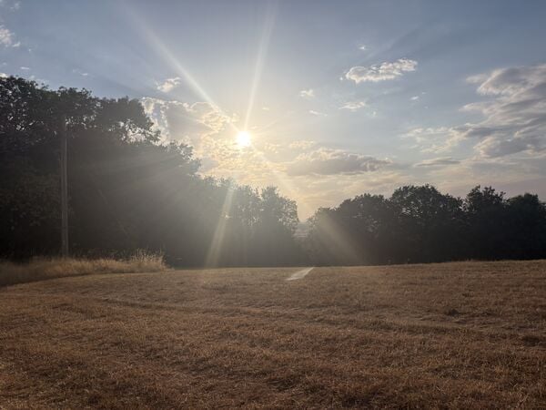 IMG_2799.jpeg