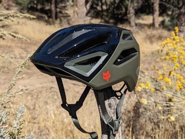 PXL_20231018_203804605.MP_ (1).jpg