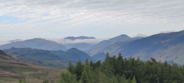 IMG_20260524_075457.jpg